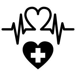 Heart 380