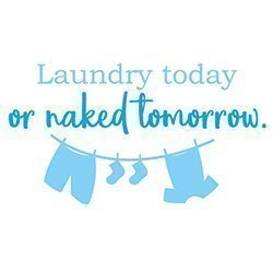 Laundry Quote 499