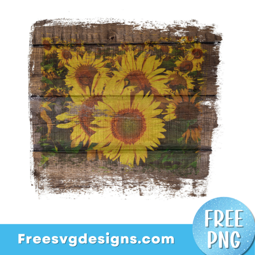 Sunflower Wood Texture Free Transparent PNG Background