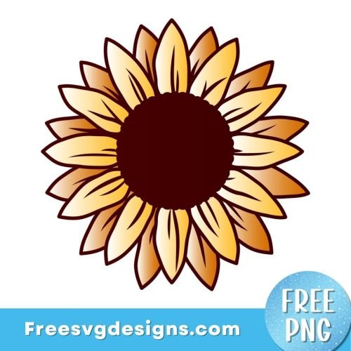 Sunflower PNG sublimation design, Free PNG download