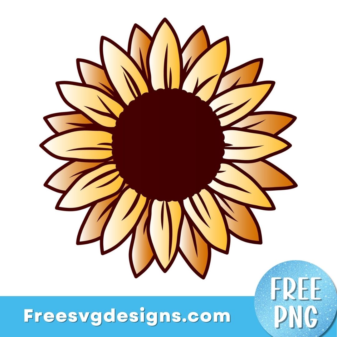 Sunflower PNG Sublimation Design – Free PNG Download 2988
