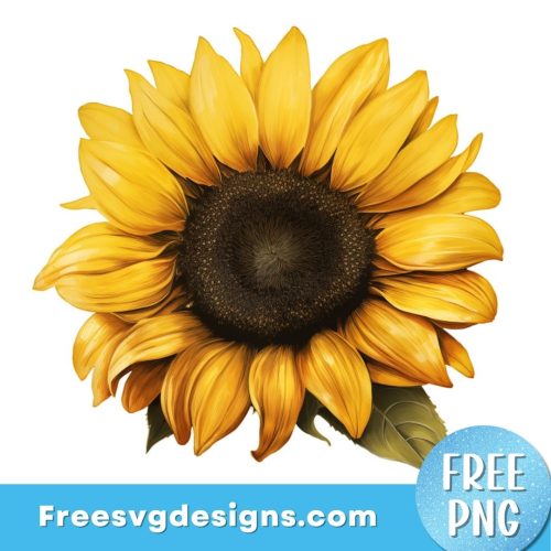 Sunflower PNG Sublimation Design