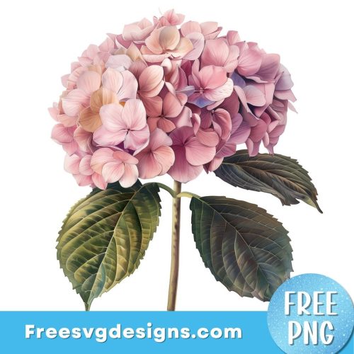 Hydrangea PNG Sublimation Design