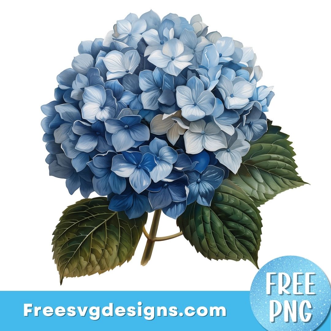 Hydrangea PNG Sublimation Design – Free PNG Download 3077