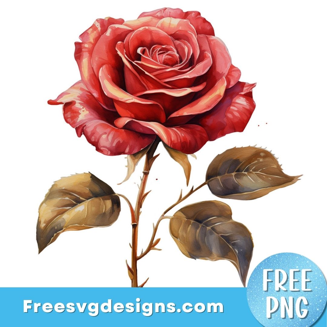 Red Rose PNG Sublimation Design – Free PNG Download 3078