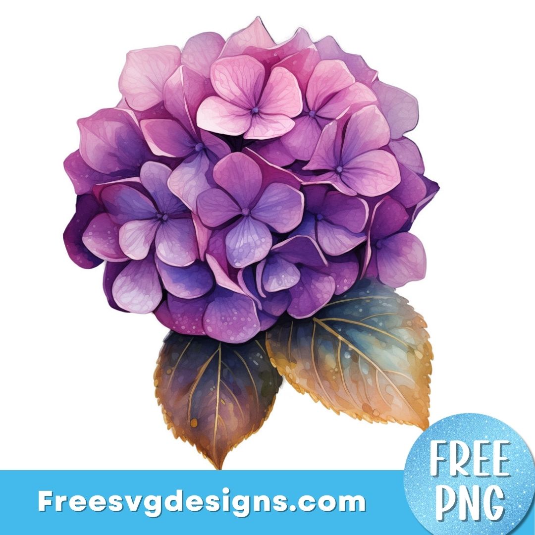 Hydrangea PNG Sublimation Design FREE PNG Download 3079